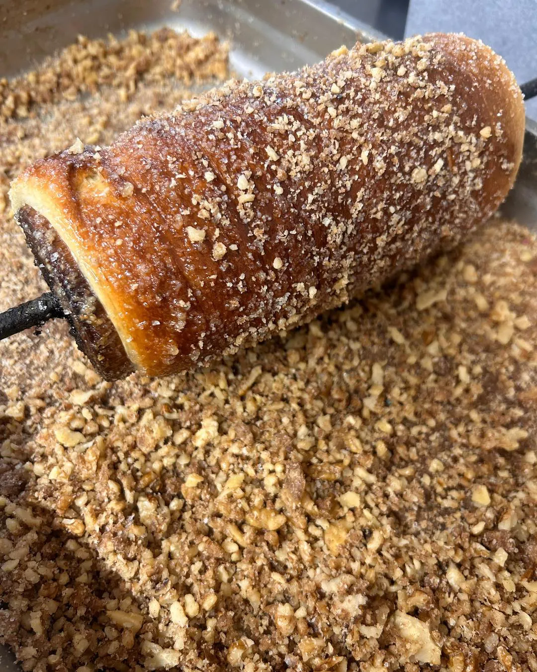 Kurtos Colaci