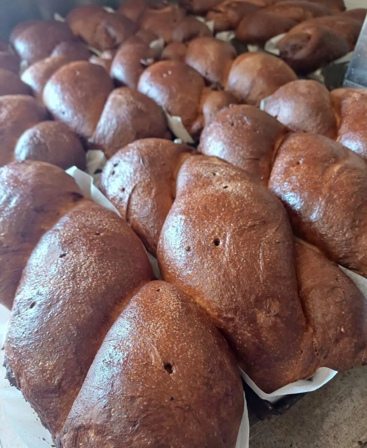 Cozonaci cu Multă Nuca 